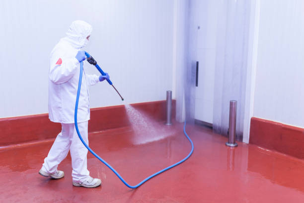 Best Graffiti Removal  in Willow Park, TX