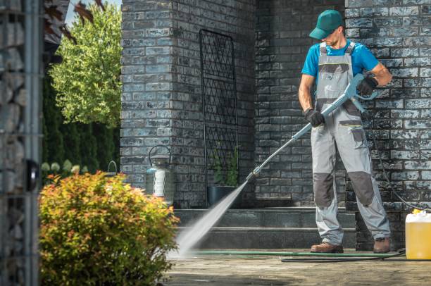 Best Solar Panel Cleaning  in Willow Park, TX